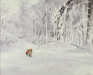 深雪のキツネ