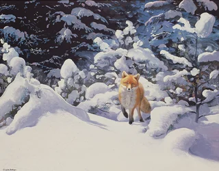 深い雪の中のキツネとモミの木