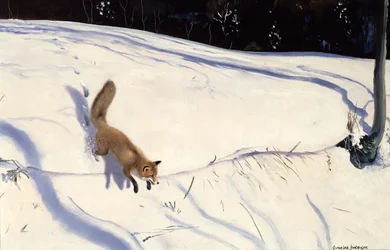 雪の土手から飛び降りるキツネ