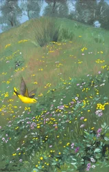春の花のゴールデンオリエル