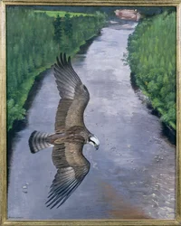 オスプレイ・フィッシング