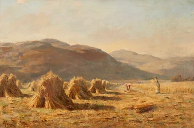 Dumyat、Ochil Hills の近くでの収穫 (キャンバスに油彩)