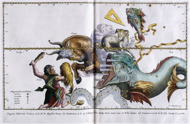 星座の天体図：オリオン座、おうし座座、牡羊座と魚座、1666-1668年