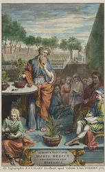ヤン・コメリンとカスパー・コメリンによる「Horti Medici Amstelodamensis Rariorum Plantarum Historia」第2巻のタイトルページ。