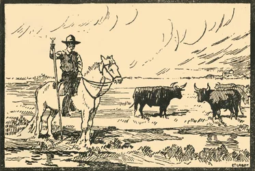 「カマルグの風景 - カマルグの眺め」、1920 年代。