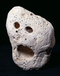 ムンク小石（ジュラ紀石灰岩）