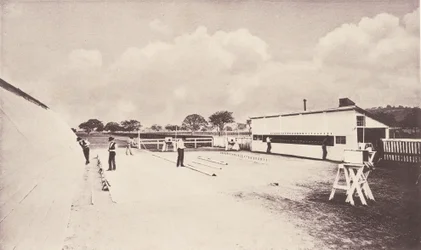 瞬間写真が映し出す動く馬。 動物の研究で...、1881-1882。