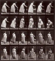 アニマルロコモーション、プレート265：座っている女性とのシーケンス、1887（フォトメカニックプリント）