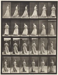 プレート100.ターンとアセンディング階段、1885