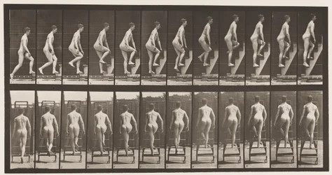プレート109。上行脚立、1872〜1885
