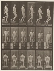 プレート127。降順階段、1872〜1885