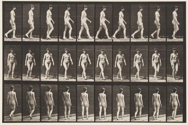 プレート16.ウォーキング、1872〜1885
