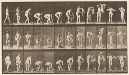 プレート227。地面から布を持ち上げる、1872〜1885