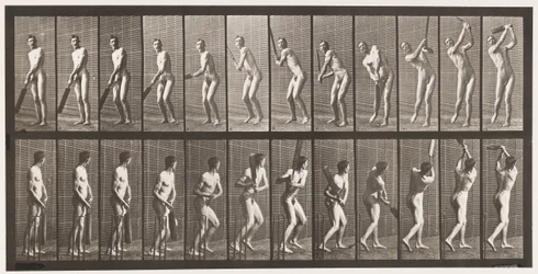 プレート291.クリケット;バッティング;ドライブ、1885