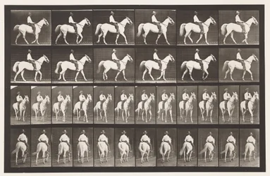 プレート579.ウォーキング;サドル;ホワイトホースエルベロン、1885年