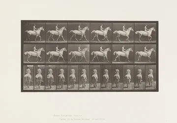 プレート602.Trotting; Bareback;ライダー、43、ヌード;ライトグレイホーススミス、1885