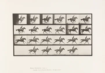 Plate 625.サラブレッド・ベイホース・ブーケ「ギャロップ