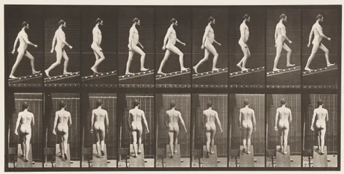 プレート75。昇順傾斜、角度1、4、1872〜1885