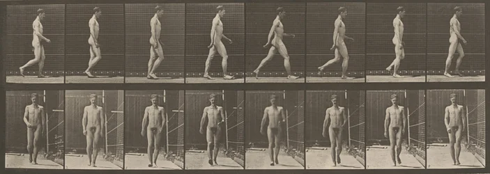 プレートナンバー 5.ウォーキング、1887年（写真）