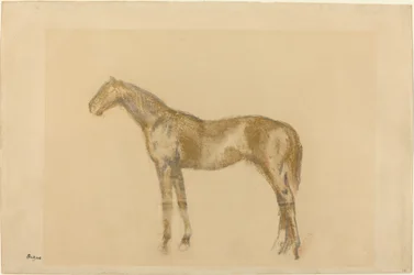 馬