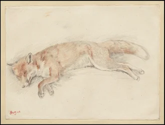 「森の中の死んだ狐」のための研究、c.1861-64
