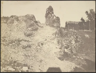 [ロッキーの風景］