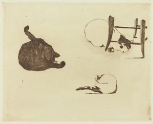 The Cats (レ チャット)