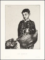 Urchin、1862