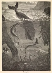 ジュール・ヴェルヌ「海底二万里」の扉絵、1870年頃（版画）