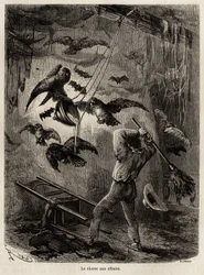 1848年から1860年にかけてのポール・マルコイの太平洋から大西洋への旅を説明するためにリウが描いた、サラヤク（ペルー）の教会に避難しているフクロウの狩猟。エドゥアール・シャルトン編『Le tour du monde』に掲載された図版
