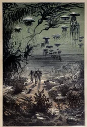 水中の床。ジュール・ヴェルヌ（1828-1905）の小説「海底二万哩」のためにエドゥアール・リウ（1833-1900）が描いたイラスト 19世紀 個人蔵
