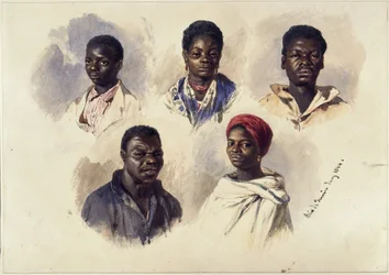 アフリカ系ブラジル人を描いた5点の肖像画、胸像