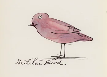 Edward Lear, The Bird Book: The Lilac Bird (color litho)