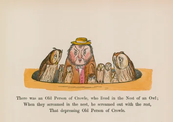 フクロウの巣に住むクロウルの老人がいた（カラー版画）