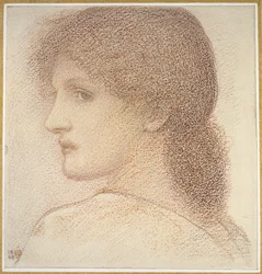左を向いた女性の頭の研究、1868年（紙に赤いチョーク）