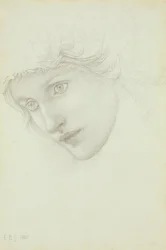 人魚の頭の研究、1885