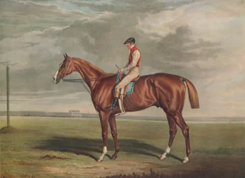 「ヴェロキペード、聖レジェの勝者、1828年」、c1828、1929年