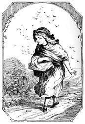 森の家、1901