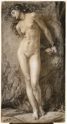 アンドロメダ、1872