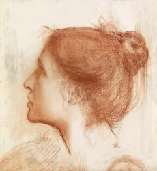 女性の頭