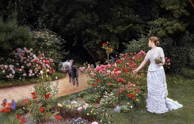 1878年の到着。白いドレスを着たエレガントな女性が庭で花（バラ）を摘んでいる。彼女の近くには、人の到着を知らせる犬がやってくる（arrivee）。エドワード・キリングワース・ジョンソン（1825-1896 イギリス）の作品。プレラファエリスム