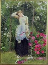 ローズバウアー、1877