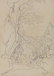 『ザ・セラー』、1838年7月19日