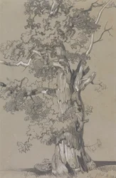 パーハム、1834 年 10 月 13 日