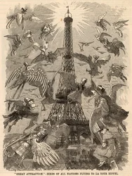 エッフェル塔へ飛ぶ世界各国の鳥たち
