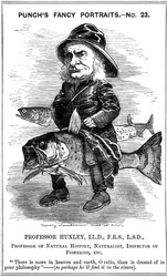 トーマスヘンリーハクスリー、英語の生物学者、1881年