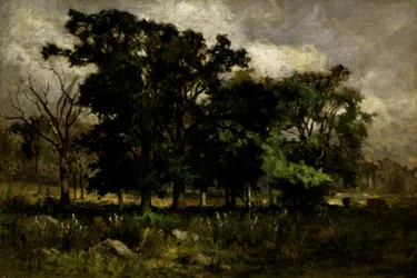 木の風景、1877年。