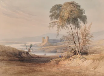 木々のある風景
