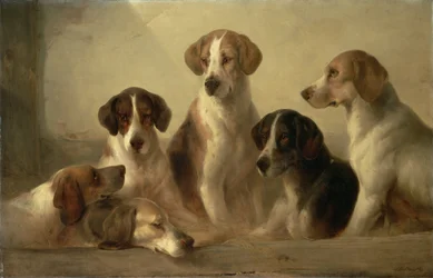 猟犬