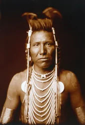 Ben Orelha Longa